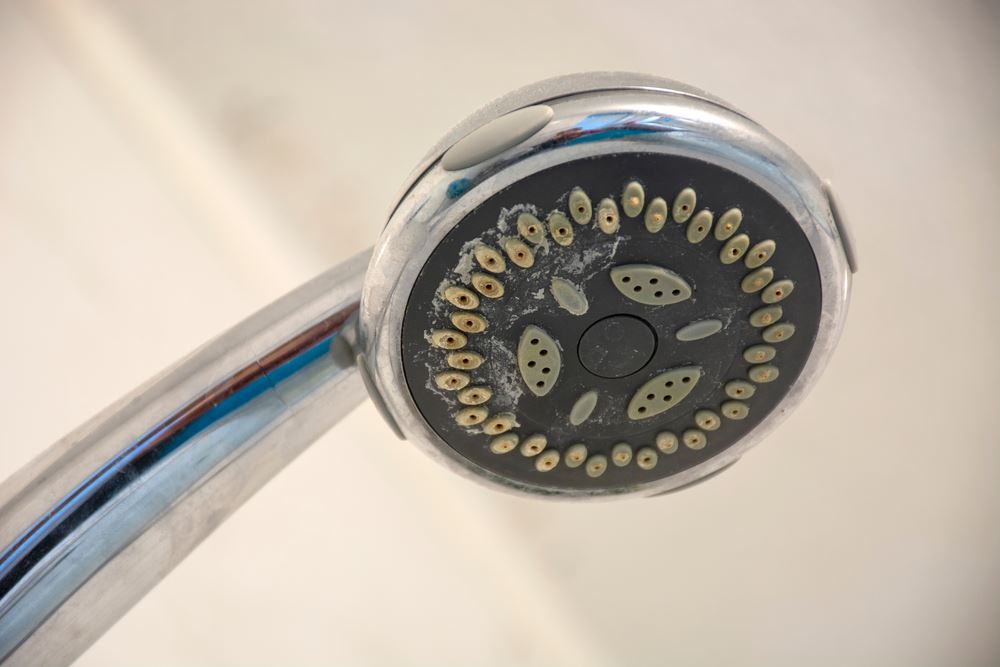 Calcium buildup on silver showerhead